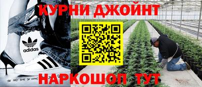 спиды Можга