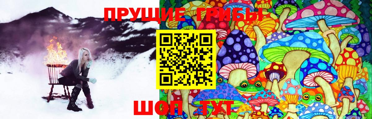 что такое   Вход с VPN  Аксай  Псилоцибиновые грибы Psilocybe  Галлюциногенные грибы GOLDEN TEACHER 